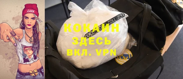 СК Алексин