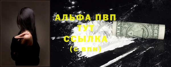 СК Алексин