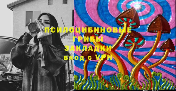 спиды Алзамай