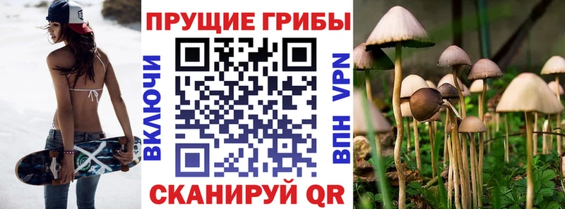 дарнет шоп  Карабаш  Галлюциногенные грибы прущие грибы 